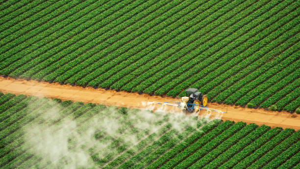 Best Insect Control  in Greensboro, AL