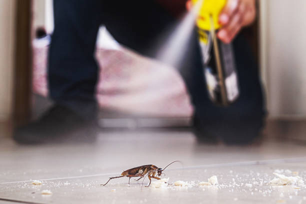 Best Wasp Removal Services  in Greensboro, AL