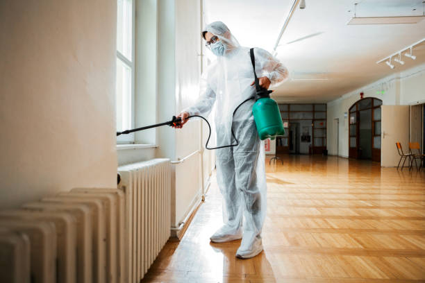 Best Mosquito Control Services  in Greensboro, AL