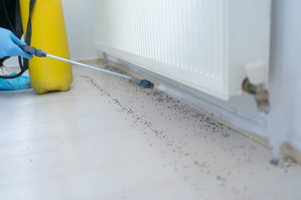 Best Pest Control Near Me in Greensboro, AL