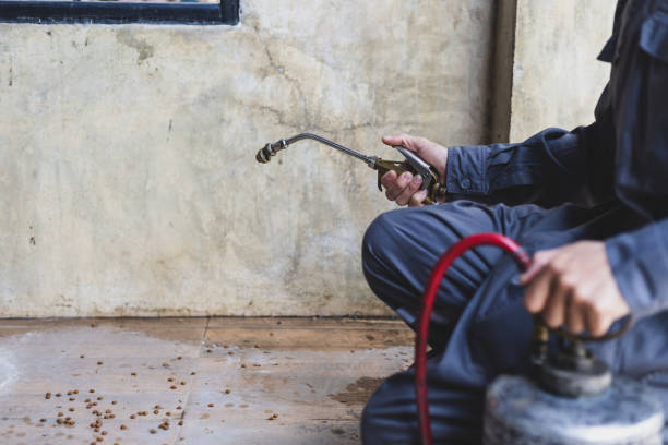 Best Emergency Pest Control  in Greensboro, AL